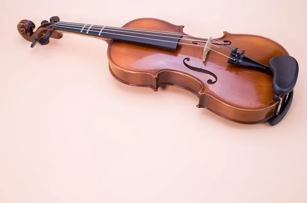Primo Piano Violino Isolato Sfondo Rosa — Foto Stock