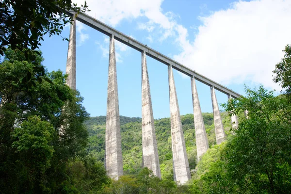 Puente Viaducto Rodeado Árboles Día Nublado —  Fotos de Stock