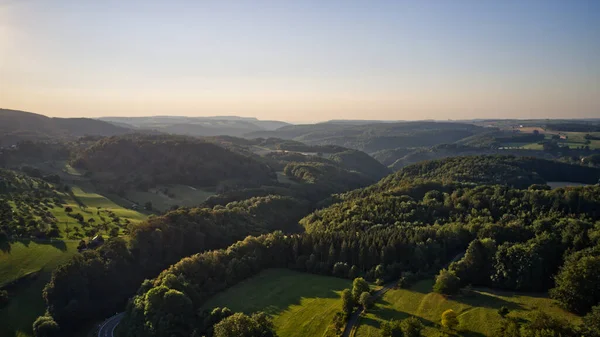 晴れた日の緑豊かな森の空中風景 — ストック写真