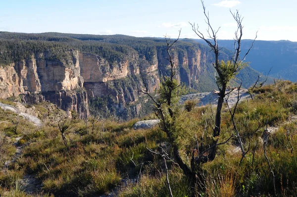 Uma Vista Das Montanhas Azuis Butterbox Point Perto Mount Hay — Fotografia de Stock