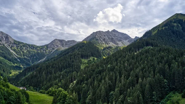 Красивий Зелений Ліс Гірській Місцевості — стокове фото