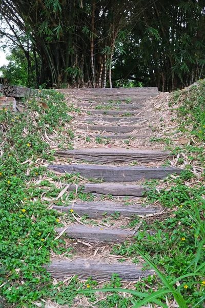 Escalier Jardin Bois Chiang Mai Thaïlande — Photo