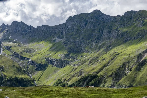 Красивий Вид Гірський Пейзаж Зеленню — стокове фото