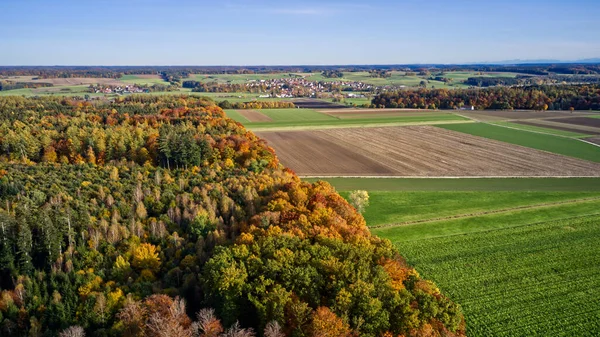 Красочное Поле Окруженное Осенним Лесом — стоковое фото