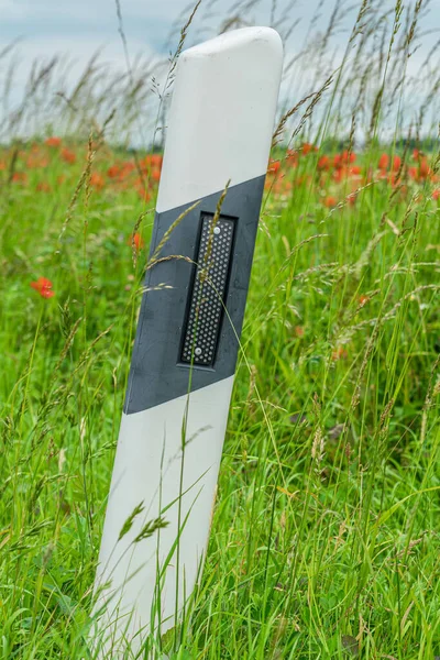 Plan Vertical Une Barre Signalisation Dans Pré — Photo