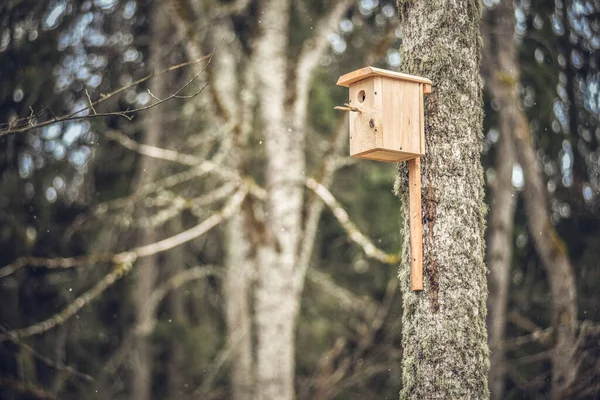 Een Dichtbij Shot Van Een Van Hout Vogelhuis — Stockfoto