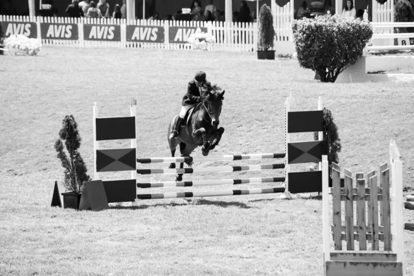 Johannesburg Sudáfrica 2021 Johannesburgo Sudáfrica 2011 Exhibición Salto Ecuestre Equitación —  Fotos de Stock