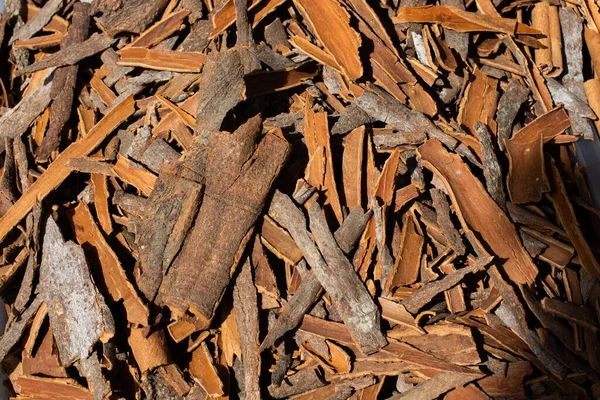 Dilimlenmiş Odun Parçalarının Yakın Plan Çekimi — Stok fotoğraf
