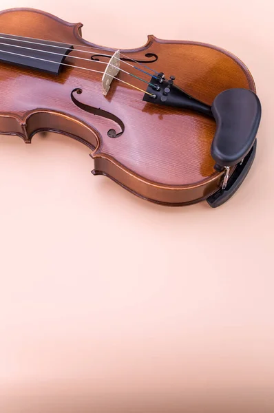 Vertical Shot Violin Isolated Light Pink Background — Stockfoto