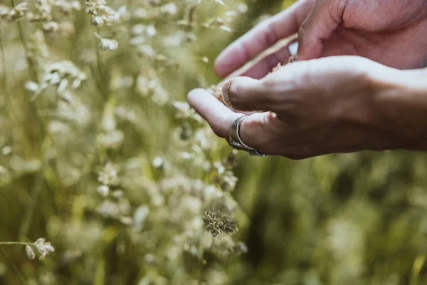 Płytkie Ujęcie Ludzkiej Ręki Dotykającej Kwiatów Polu — Zdjęcie stockowe