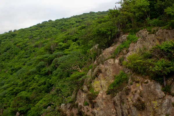 Eine Wunderschöne Landschaft Mit Bewaldeten Bergen — Stockfoto