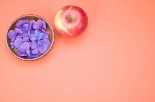 Detailní Záběr Hortenzie Květiny Dřevěném Podšálku Čerstvé Jablko Izolované Růžovém — Stock fotografie