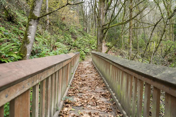 Träbron Dash Point State Park Tacoma Washington Usa — Stockfoto