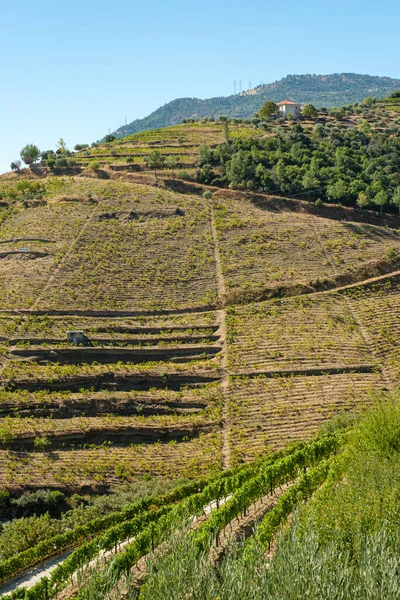 Vertical Shot Mountain Slope Arable Lands Trails — Stock Photo, Image