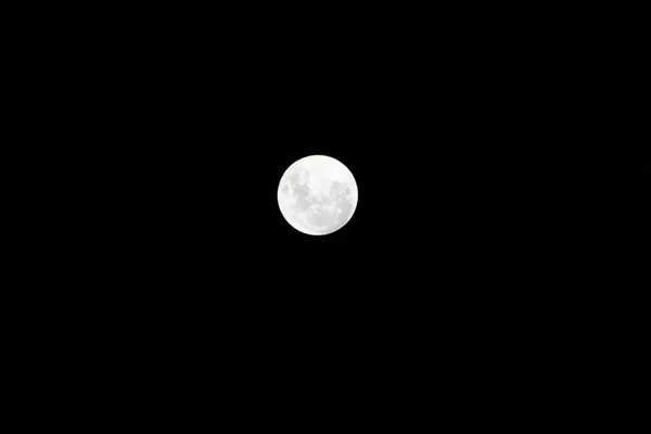 Luna Llena Noche Sobre Fondo Negro Perfecto Para Fondos Pantalla —  Fotos de Stock