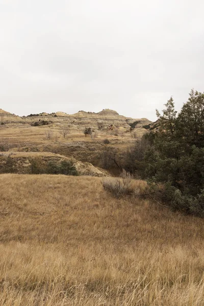 Eine Vertikale Aufnahme Des Theodore Roosevelt Nationalparks North Dakota — Stockfoto