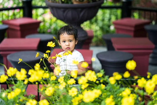 Cute Asian Small Girl Looking Blooming Potted Flowers Outdoor — Stock Photo, Image