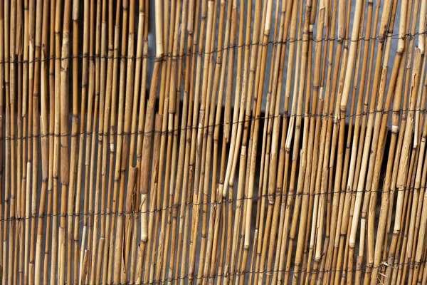 竹の柵の閉鎖 — ストック写真