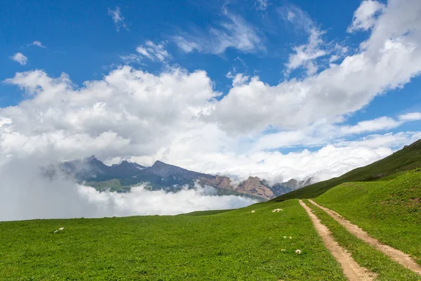 Petit Sentier Milieu Colline Couvert Verdure Sous Ciel Lumineux — Photo