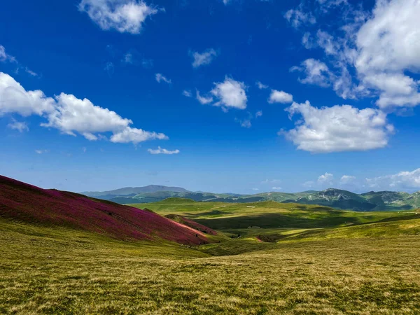 Une Belle Vue Sur Champ Vide Dans Les Collines Avec — Photo