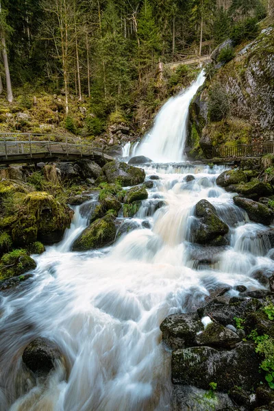 Vertikální Záběr Řeky Protékající Lesem — Stock fotografie