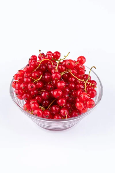 Vertical Shot Red Currant Berries Isolated White Background — Stock Photo, Image