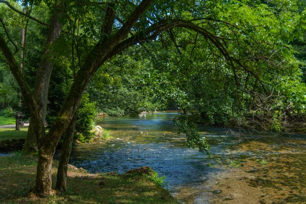 Hermoso Río Bosque Primavera —  Fotos de Stock