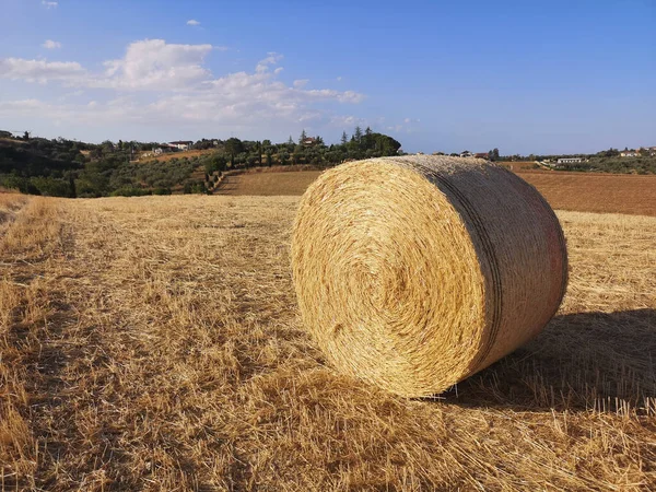 Άχυρο Τοποθετείται Μια Στοίβα Μετά Συγκομιδή Των Δημητριακών — Φωτογραφία Αρχείου