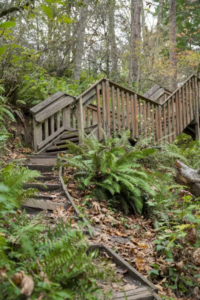Lépéseket Dash Point State Park Tacoma Washington Usa — Stock Fotó
