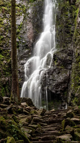 Een Verticale Opname Van Burgbach Waterval Het Zwarte Woud Bad — Stockfoto