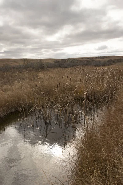 Plan Vertical Parc National Theodore Roosevelt Dans Dakota Nord — Photo