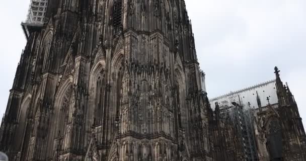 Catedral Notre Dame Paris Por Noche — Vídeos de Stock