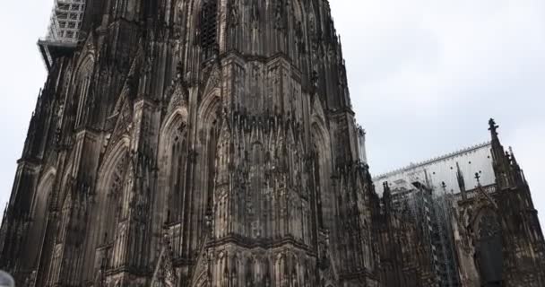 Cathedral Notre Dame Paris Evening — ストック動画