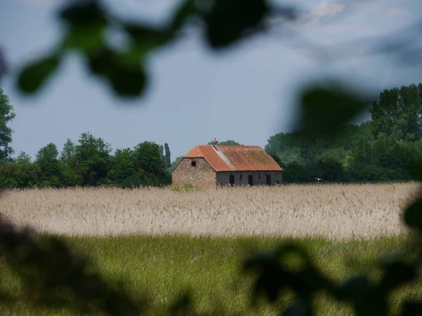 Widok Daleka Domu Polu Pszenicy — Zdjęcie stockowe