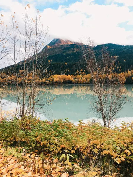 Beau Lac Tranquille Avec Reflet Des Arbres Montagne Par Une — Photo