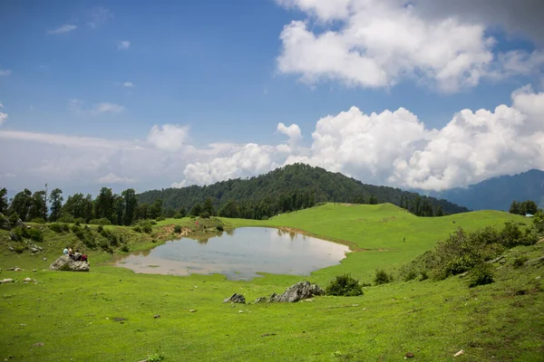 Una Hermosa Vista Estanque Rodeado Vegetación Fresca — Foto de Stock