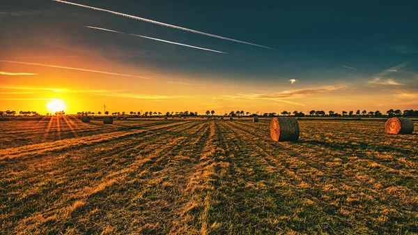 Levendige Zonsondergang Scène Het Landbouwgebied Met Hooi Roll — Stockfoto