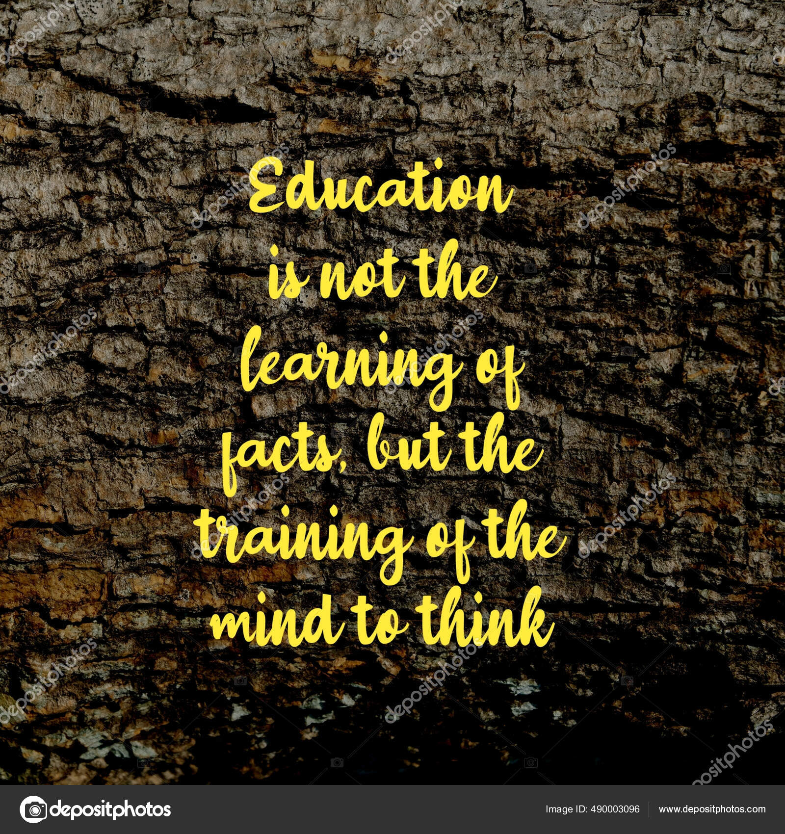 Wise Quote Education Learning Facts Training Mind Think Written Fancy —  Stock Photo © Wirestock #490003096, image size:1600x1700