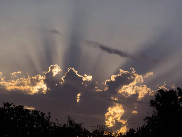 Elbűvölő Naplemente Ragyog Sűrű Fehér Felhők Között Buja Fák Sziluettje — Stock Fotó