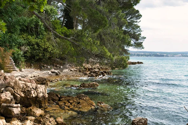 Nature Coast Line Krk Island Horvátország — Stock Fotó