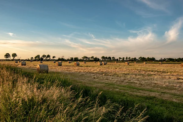 Een Prachtige Zonsondergang Het Veld — Stockfoto