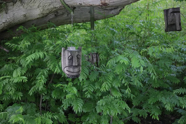 Dřevěná Maska Visící Stromě Lese — Stock fotografie