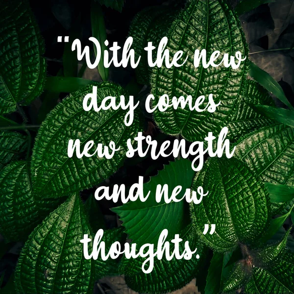 Quote New Day Comes New Strength New Thoughs — Stock Photo, Image