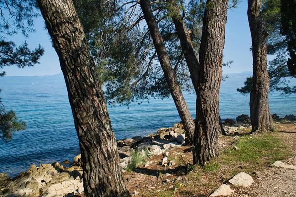 Natur Vid Kusten Krk Island Kroatien — Stockfoto