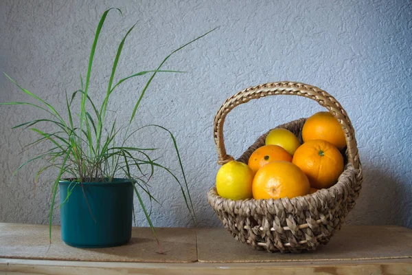 Ein Geflochtener Korb Voller Zitrusfrüchte Neben Einem Topf Zitronengras — Stockfoto