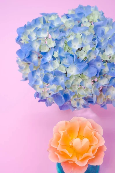 ピンク色の背景に青いガラスと青いアジサイのオレンジ色の牡丹のトップビュー — ストック写真