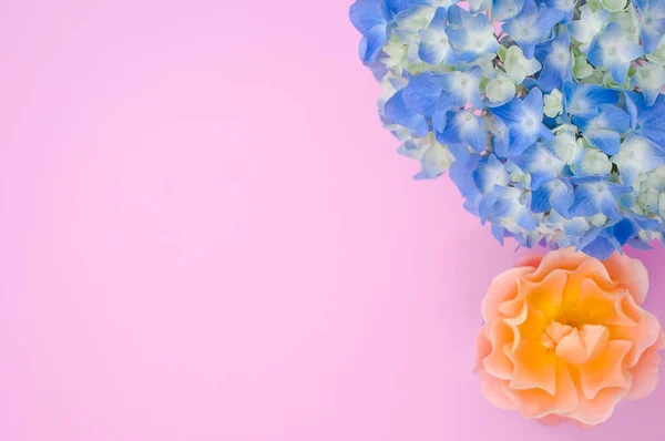 ピンク色の背景に青いガラスと青いアジサイのオレンジ色の牡丹のトップビュー — ストック写真