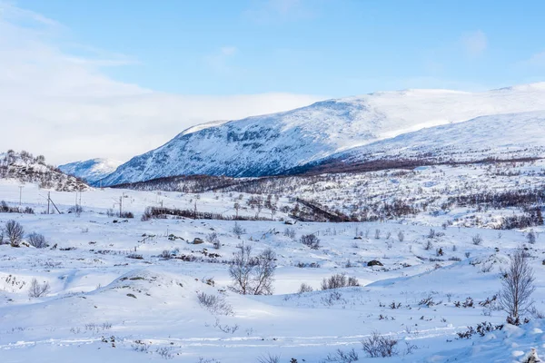Een Prachtig Uitzicht Bergen Bedekt Met Sneeuw Een Koude Winterdag — Stockfoto