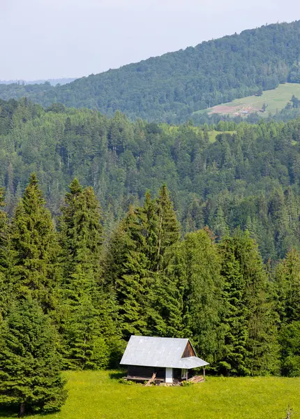 Ett Fjällandskap Med Ett Litet Hus Nära Skogen — Stockfoto