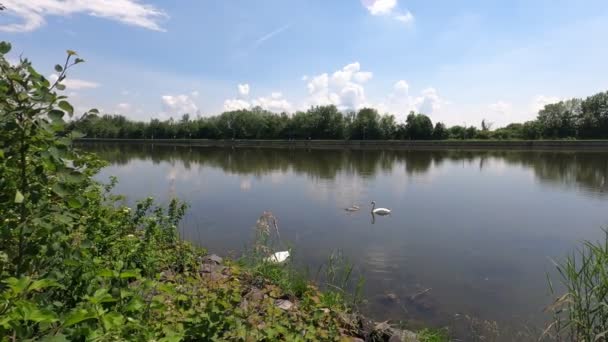 Prachtig Landschap Met Een Meer Een Rivier — Stockvideo